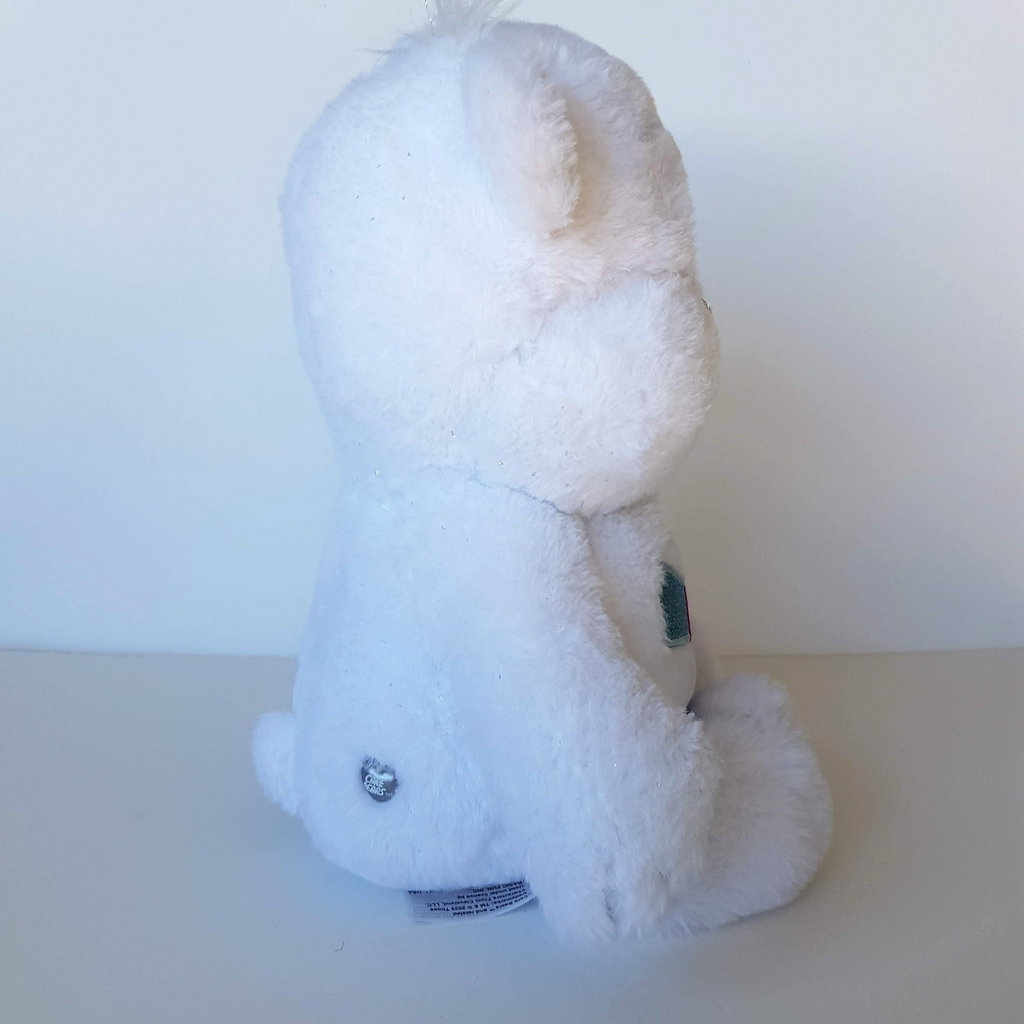 Care Bear HOPEFUL HEART Collector's Edition 2022 36cm Crystal Nose White Glitter6