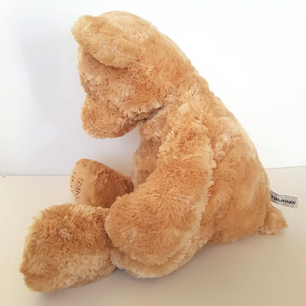 David Jones Large CHARITY BEAR Plush Floppy Teddy 44cm Soft Toy Stuffed Animal8
