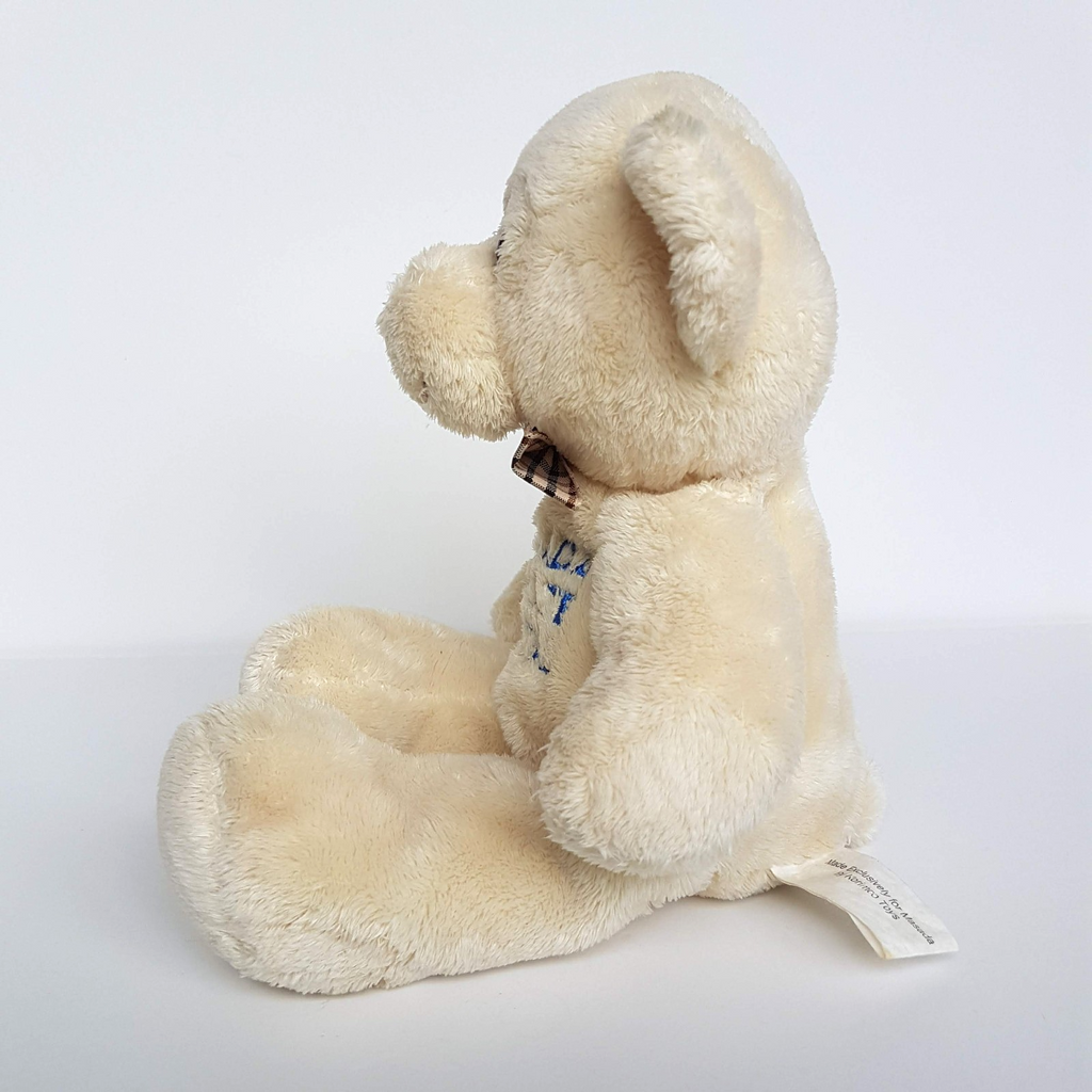Korimco MASADA PRIVATE HOSPITAL Teddy Bear Plush Soft Toy 27cm Stuffed Animal4