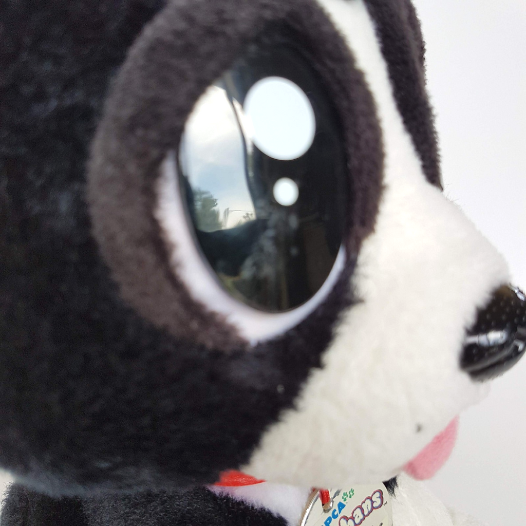 PAWPHANS Border Collie DOG Puppy Plush 24cm Soft Toy Stuffed Animal Black White2