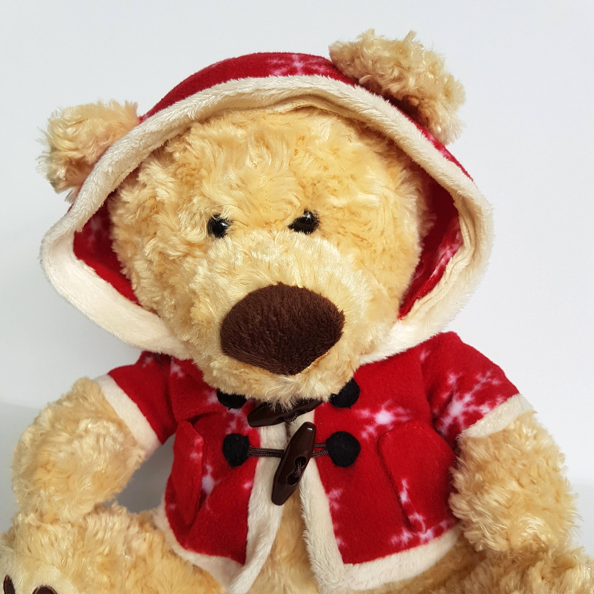 Myers Christmas 2009 BOSLEY Teddy Bear Soft Toy Plush Stuffed Animal Red Hoodie2