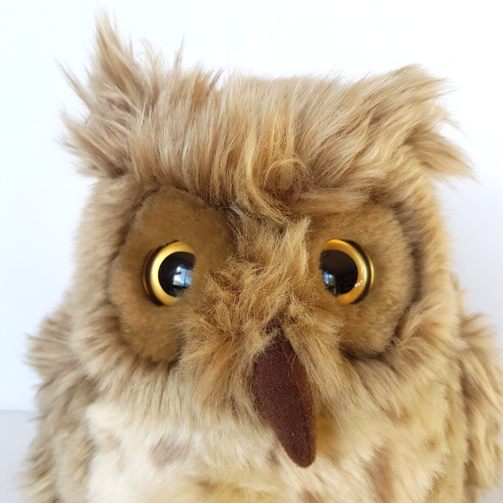 24cm OWL NOCTURNAL BIRD Plush Stuffed Animal Bird Korimco Wild Nightjar Soft Toy4