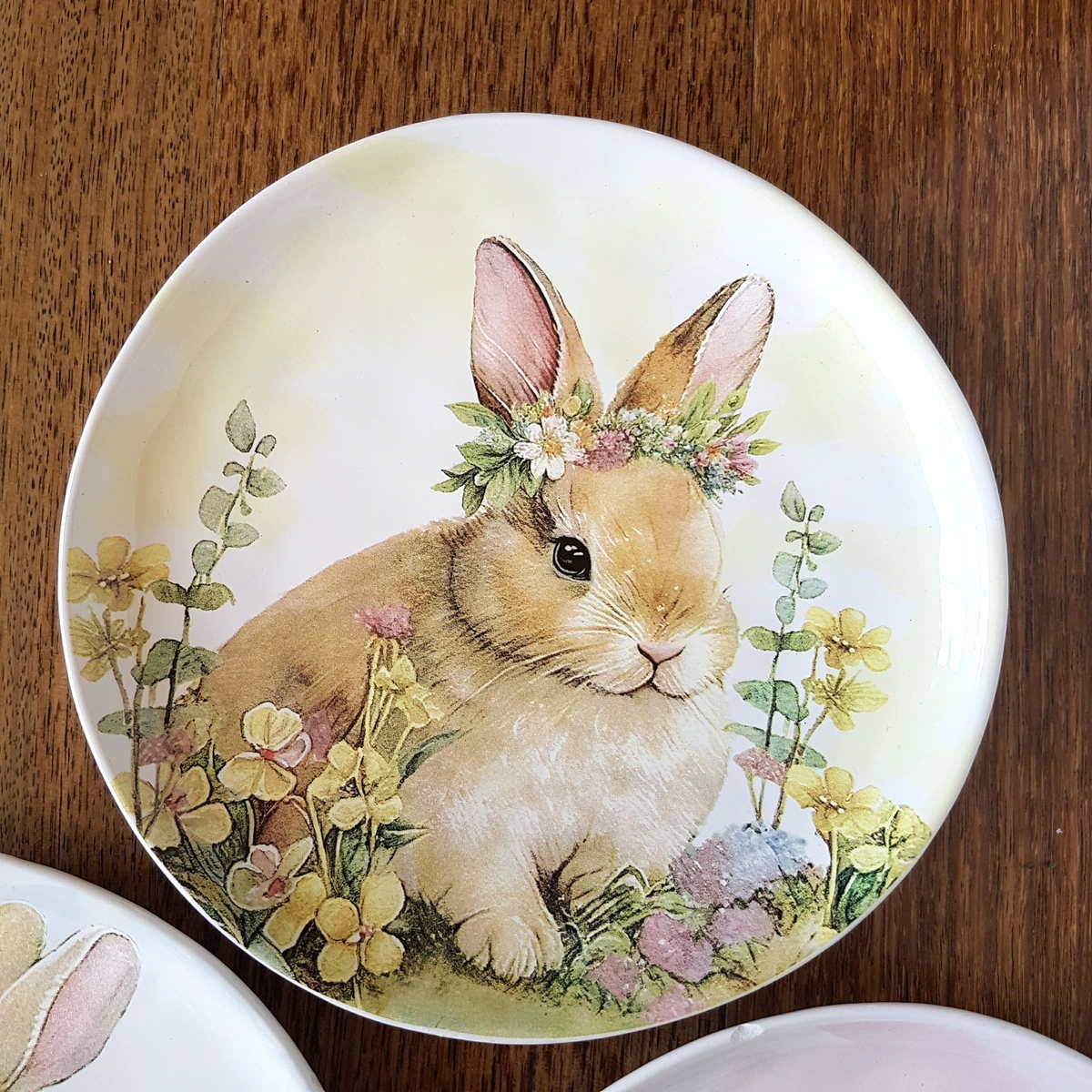Morgan & Finch BUNNY RABBIT PLATE SET x 3 Dolomite Flowers 22cm Spring Pastel1