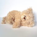 Settler Bears SLEEPY EYE TEDDY 30cm Plush Soft Toy Stuffed Animal Cuddly Cute0