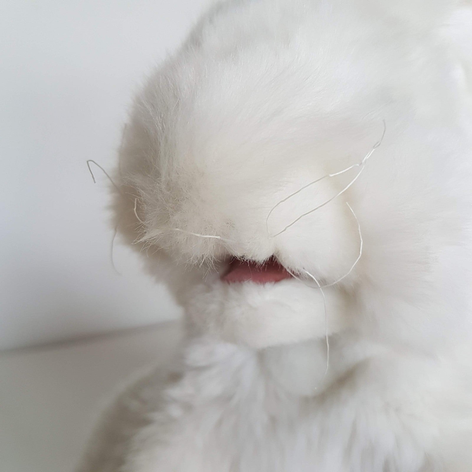 Folkmanis WHITE BUNNY RABBIT PUPPET Plush Stuffed Animal Soft Toy Super Adorable6