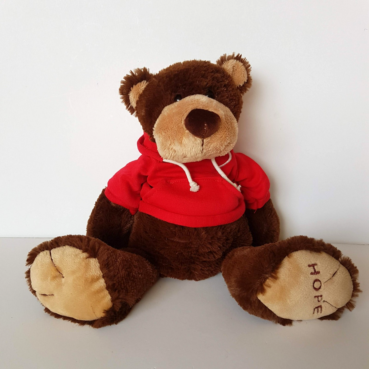 Tomfoolery HOPE BEAR Teddy Bear Plush 30cm Floppy Stuffed Animal Soft Toy Hoodie0