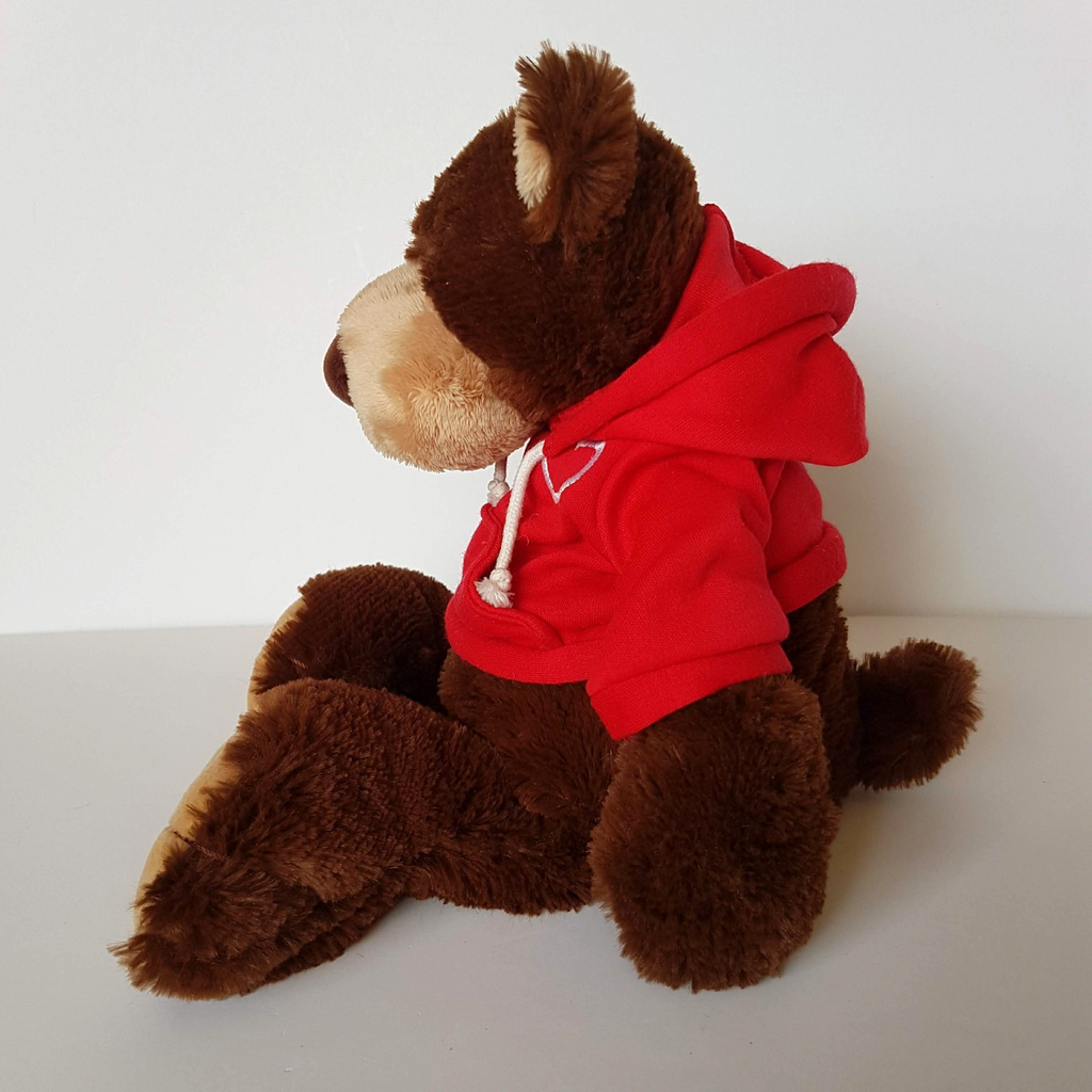 Tomfoolery HOPE BEAR Teddy Bear Plush 30cm Floppy Stuffed Animal Soft Toy Hoodie3