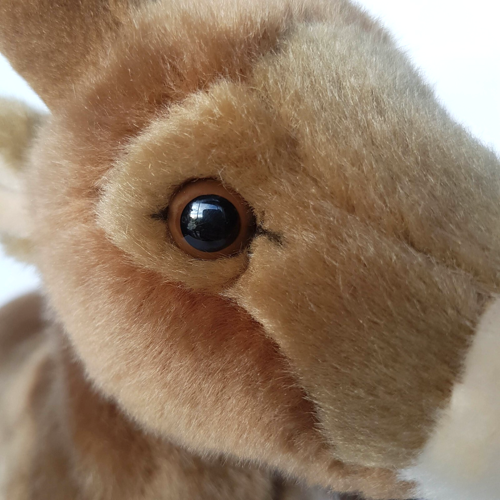 Rare LELLY VENTURELLI IBEX Goat Plush 30cm Stuffed Animal Soft Toy Realistic5