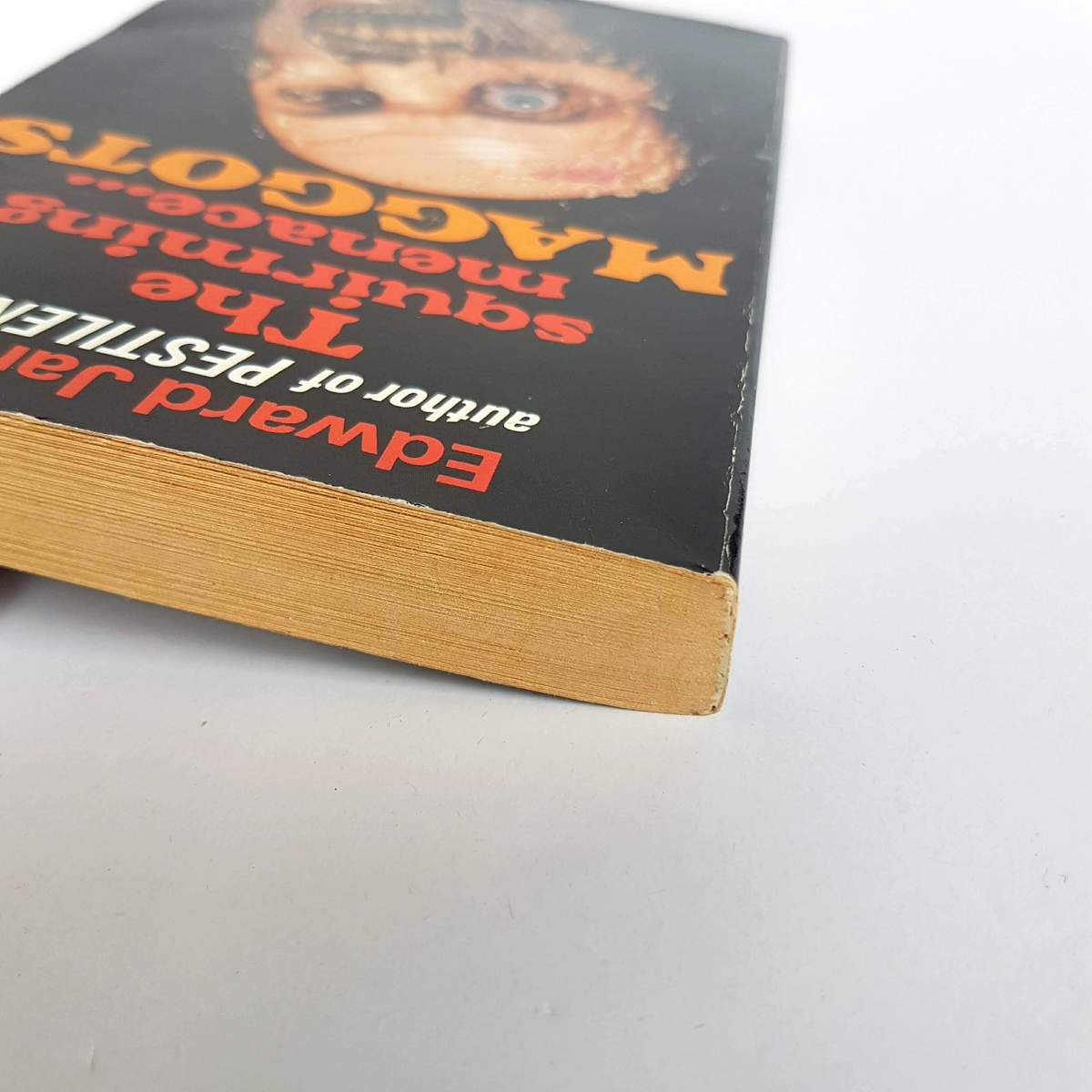 Rare 1986 MAGGOTS Edward Jarvis Book Horror Paperback Scary Novel Collectible13
