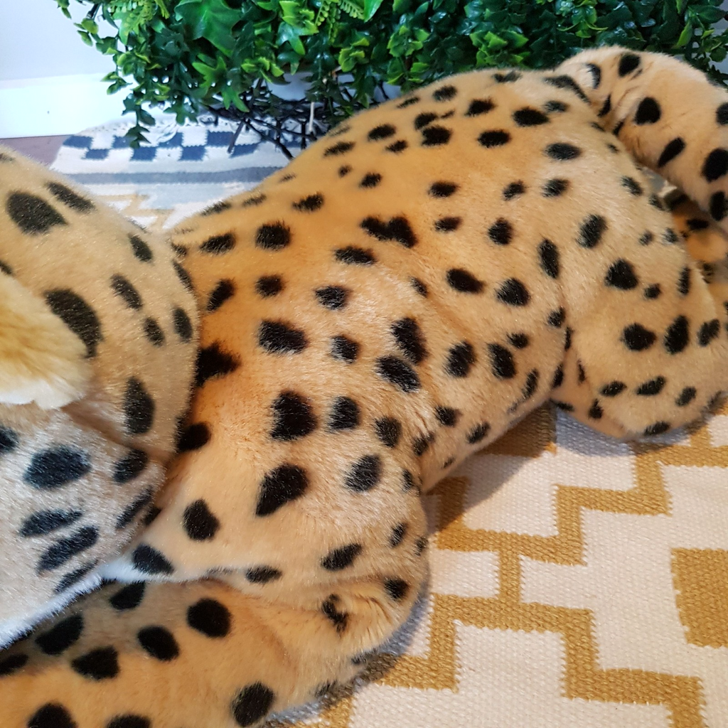 Large 63cm Long Korimco CHEETAH WILD CAT Plush Stuffed Animal Soft Toy Cuddly3