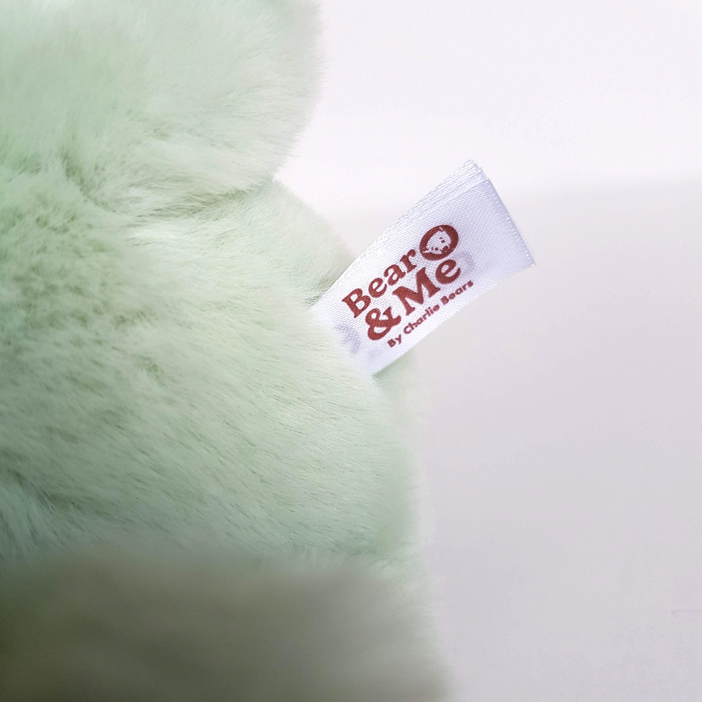 Charlie Bears FREDDY FROG 25cm Soft Plush Stuffed Animal TAGS M Peppermint Green4