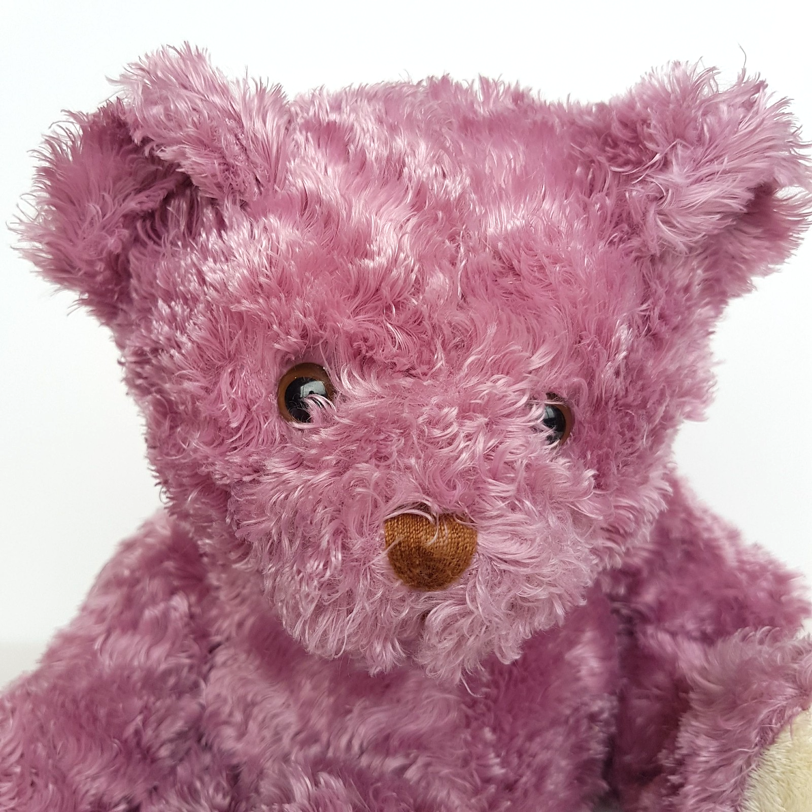 Cuddle Mates FLOPPY TEDDY BEAR Plush 32cm Pink Purple Stuffed Animal Soft Toy4