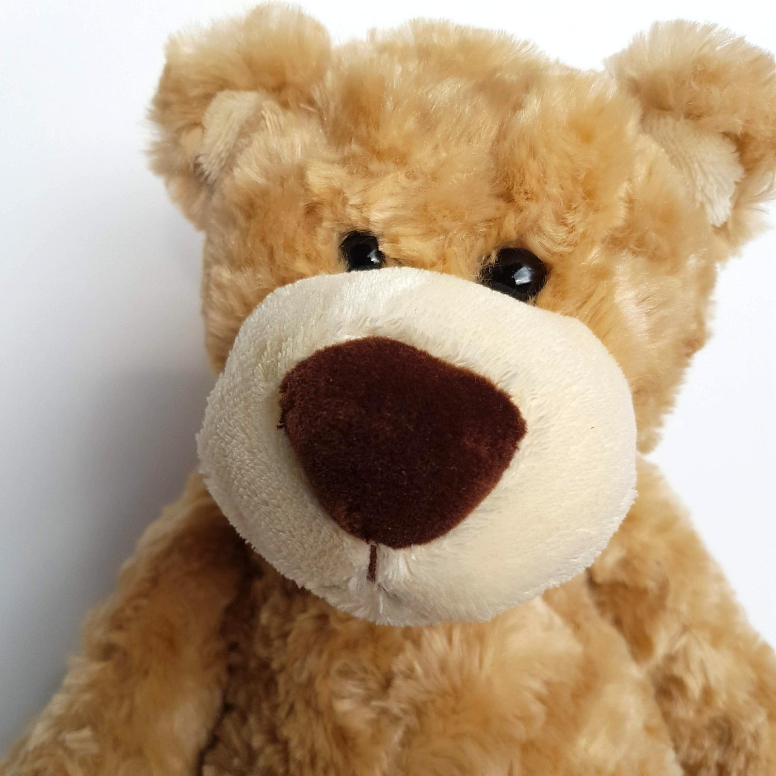 Tomfoolery BENDIGO HEALTH FOUNDATION Teddy Bear Plush Stuffed Animal Soft Toy8
