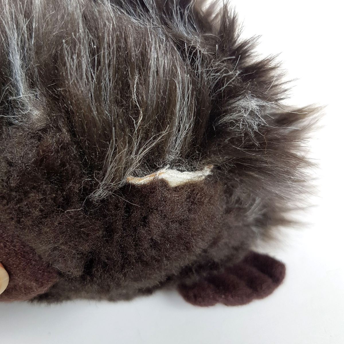 Minkplush ECHIDNA ANT EATER Plush 21cm Soft Toy Stuffed Animal Australian Animal6