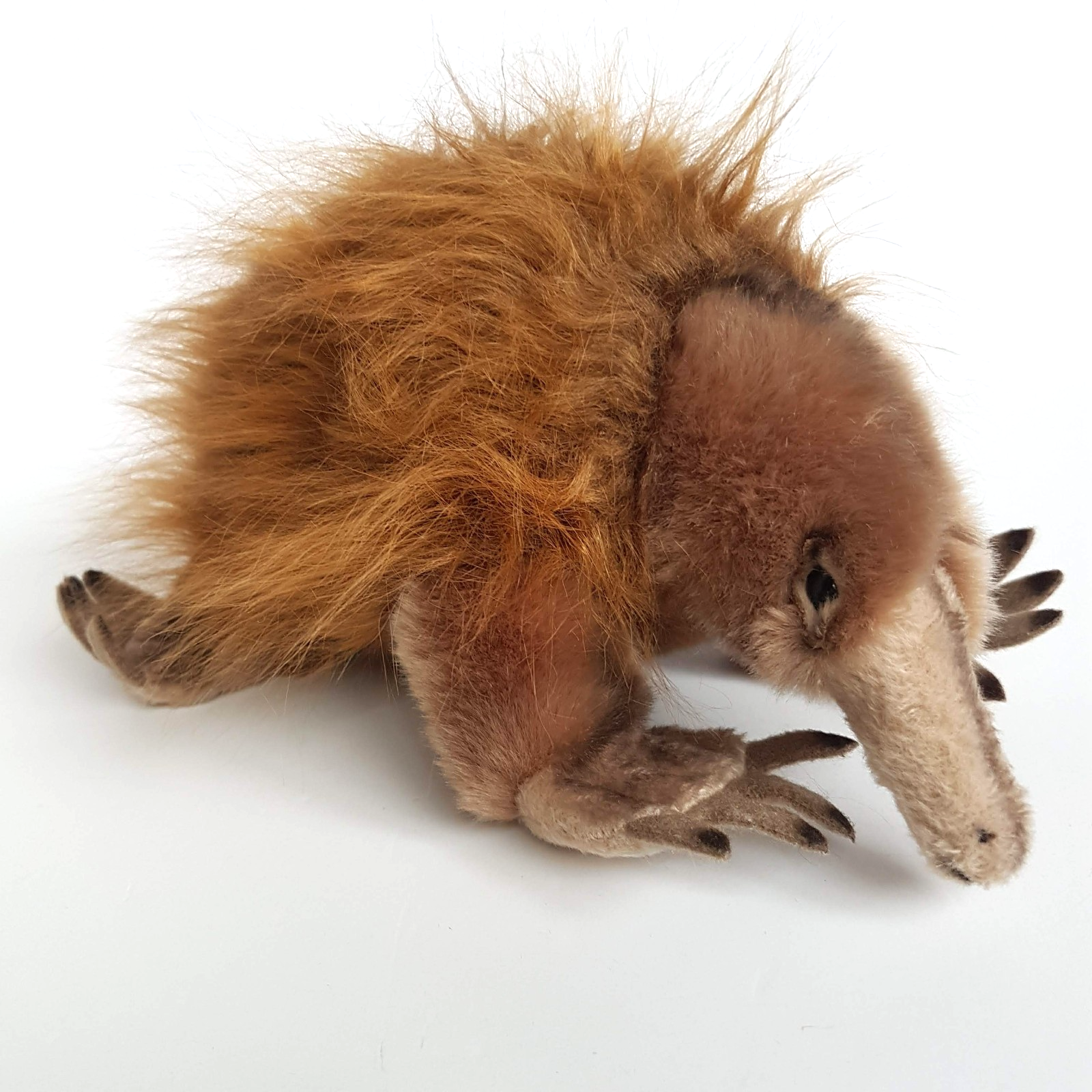 Bocchetta ECHIDNA ANT EATER Plush 25cm Stuffed Animal Soft Toy Australian Animal4