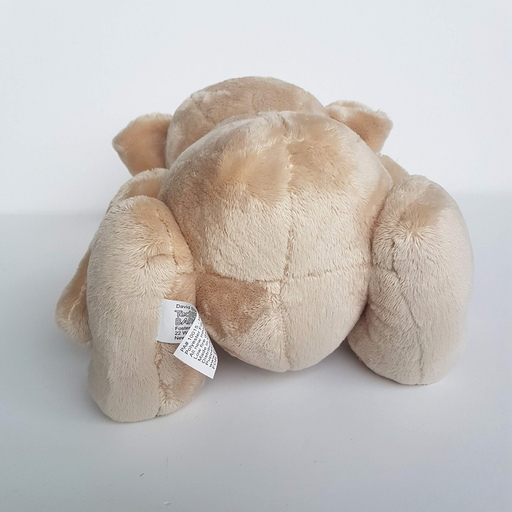 TED E BARE David Strassman Teddy Bear Plush 26cm Soft Toy Stuffed Animal FLAT6