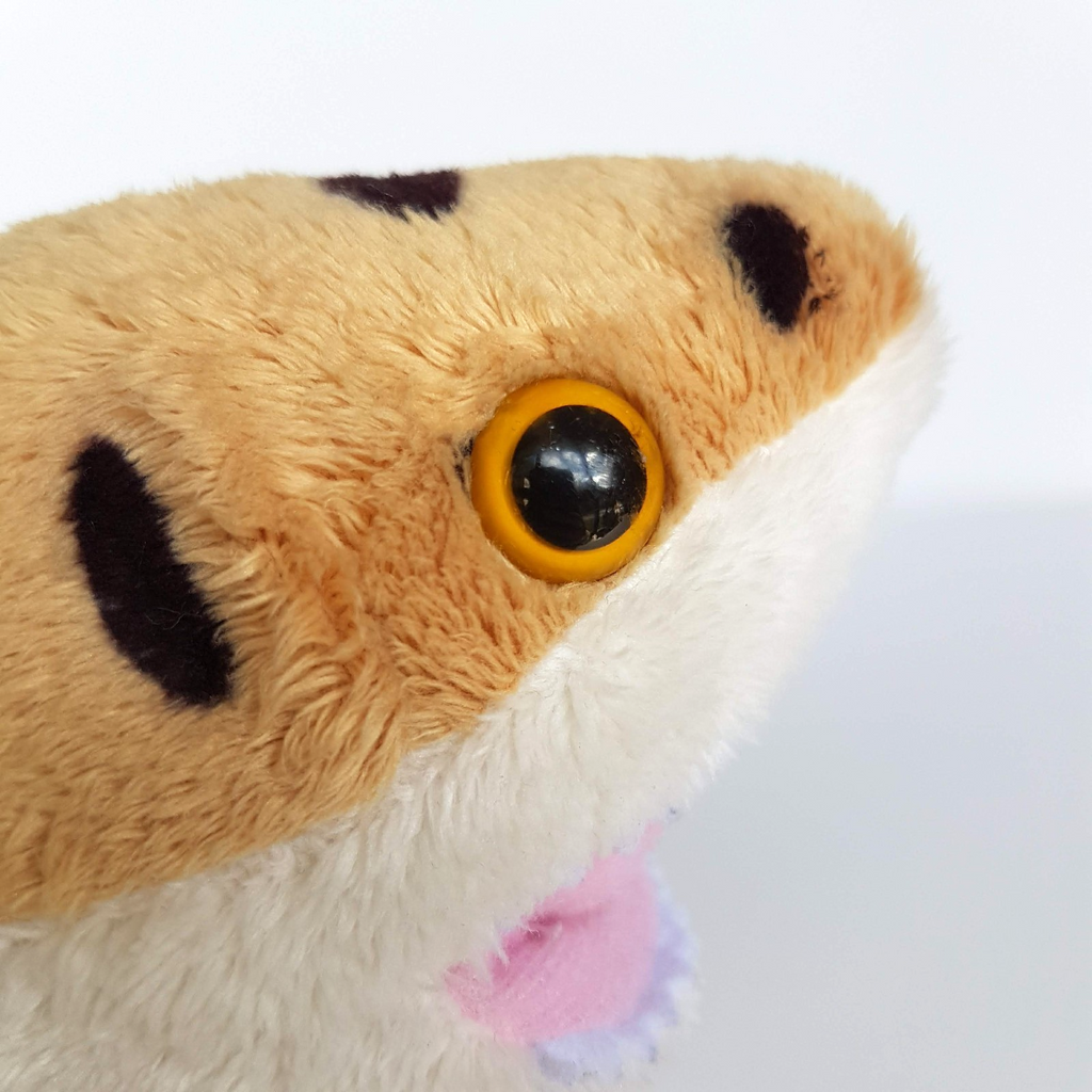 Korimco LEOPARD SHARK Plush 40cm Ocean Sea Fish Soft Toy Stuffed Animal Spotted13