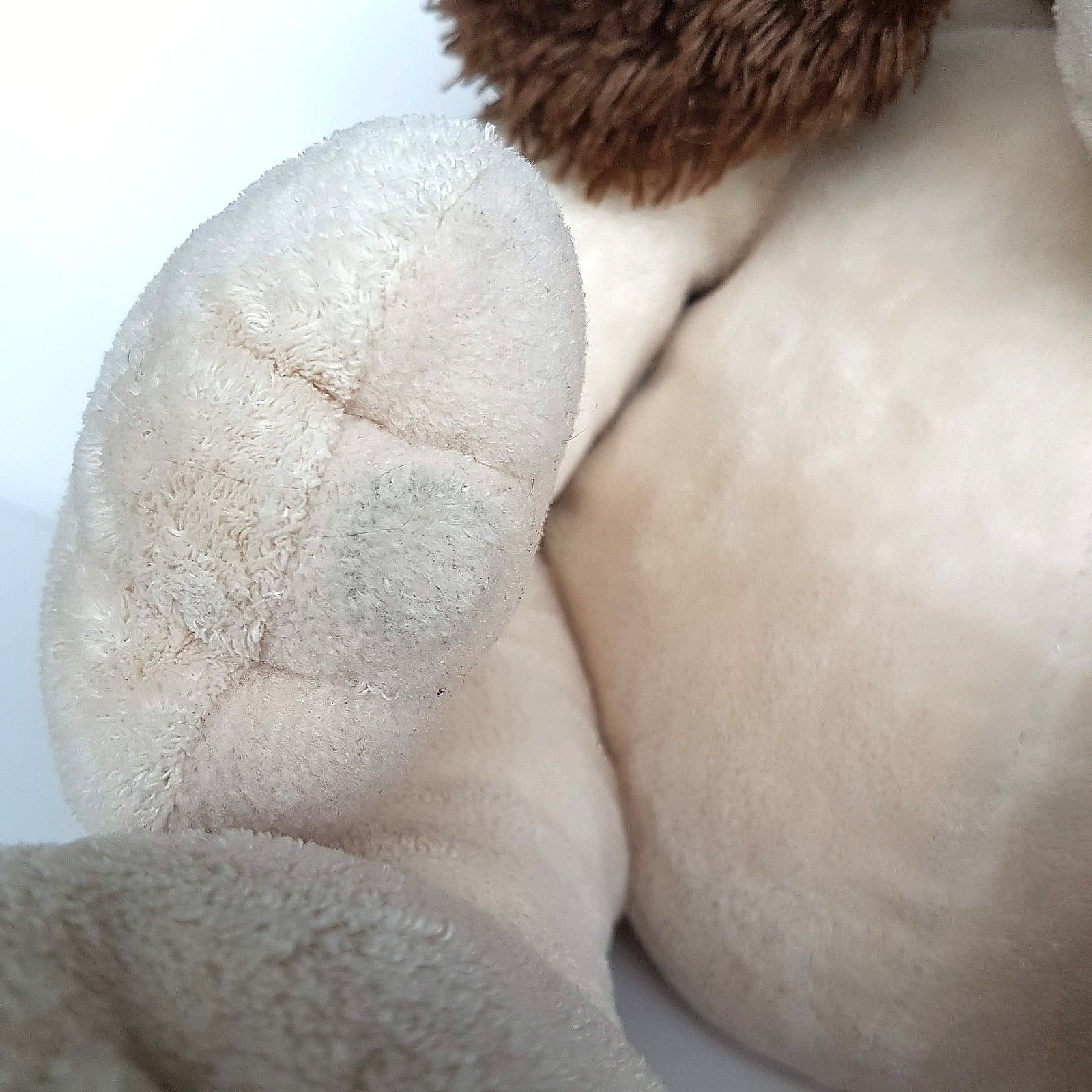 Jumbo RUSS 50cm KINGSTON Dog Puppy Plush "GIANT BANDIT" Soft Toy Stuffed Animal11