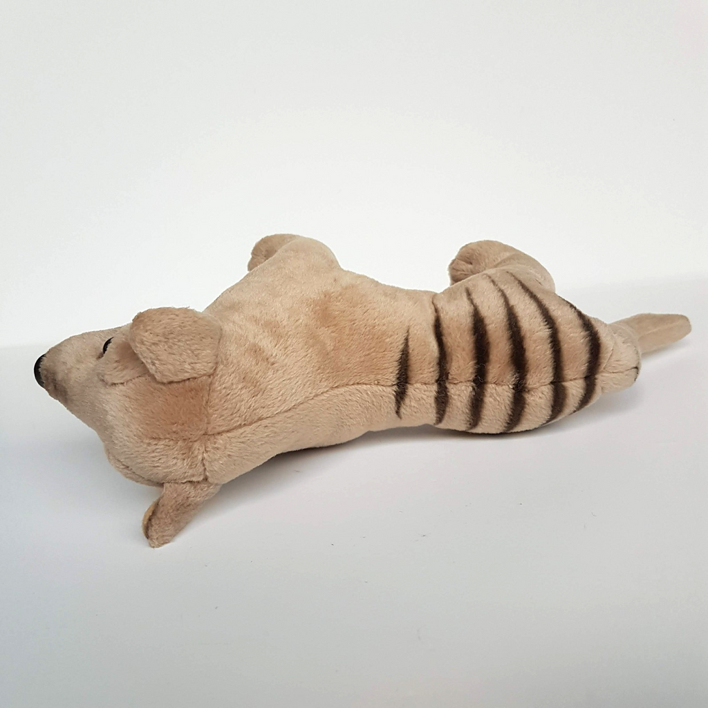 Korimco TASMANIAN TIGER Thylacine Wild Cat Plush Stuffed Animal Small Soft Toy5