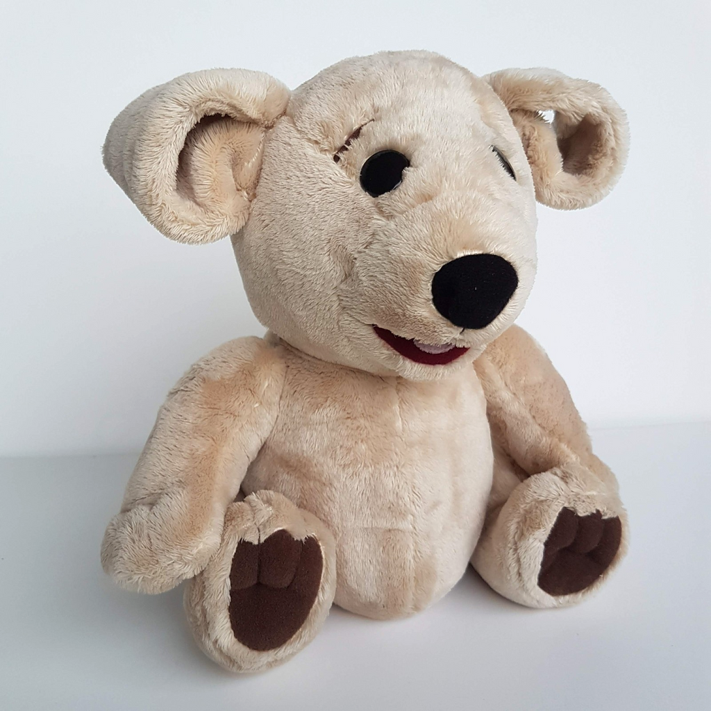 TED E BARE David Strassman Teddy Bear Plush 26cm Soft Toy Stuffed Animal FLAT1