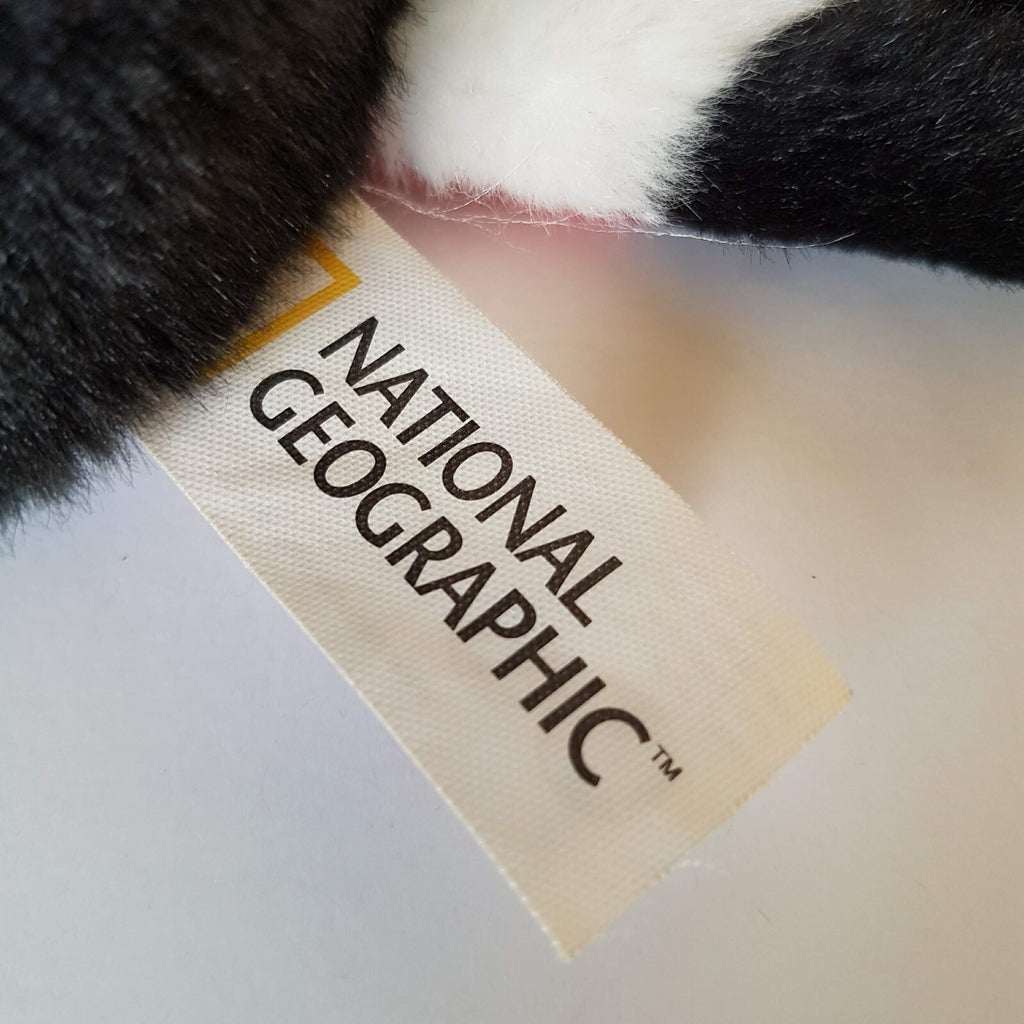 National Geographic TOUCAN Hand Puppet LELLY VENTURELLI Plush Stuffed Animal Toy8