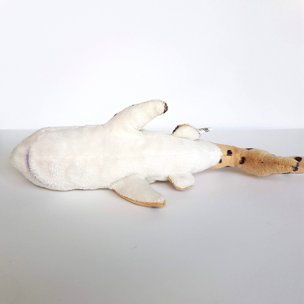 Korimco LEOPARD SHARK Plush 40cm Ocean Sea Fish Soft Toy Stuffed Animal Spotted10