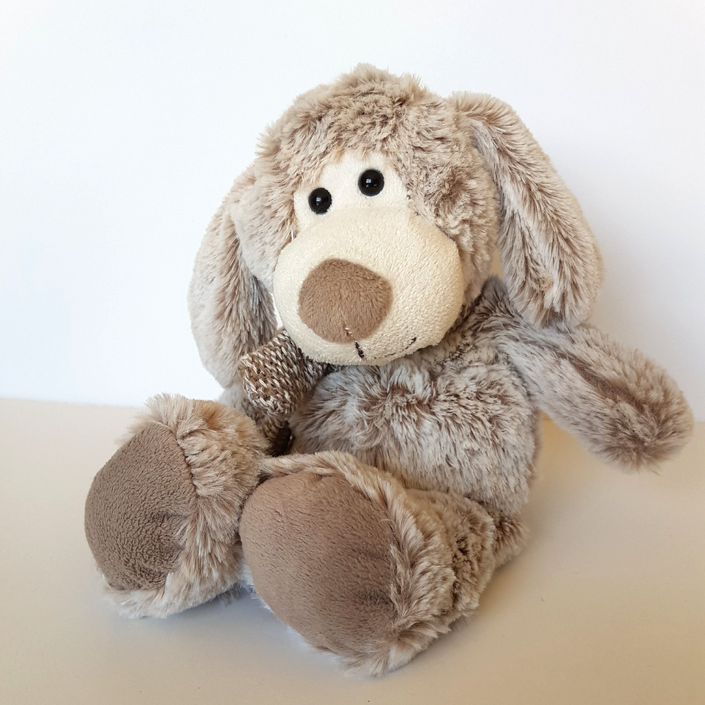 Floppy QUALITY TEDDY Plush Dog 27cm Frosted Beige White Stuffed Animal Soft Toy6