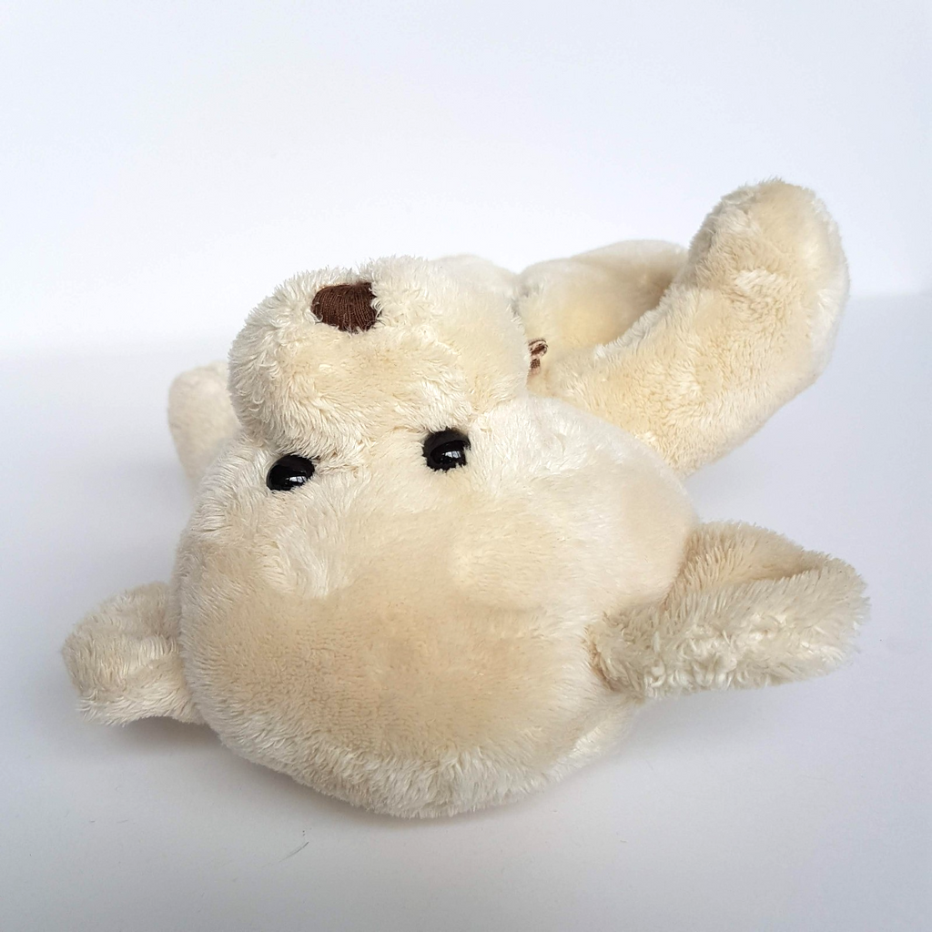 Korimco MASADA PRIVATE HOSPITAL Teddy Bear Plush Soft Toy 27cm Stuffed Animal5