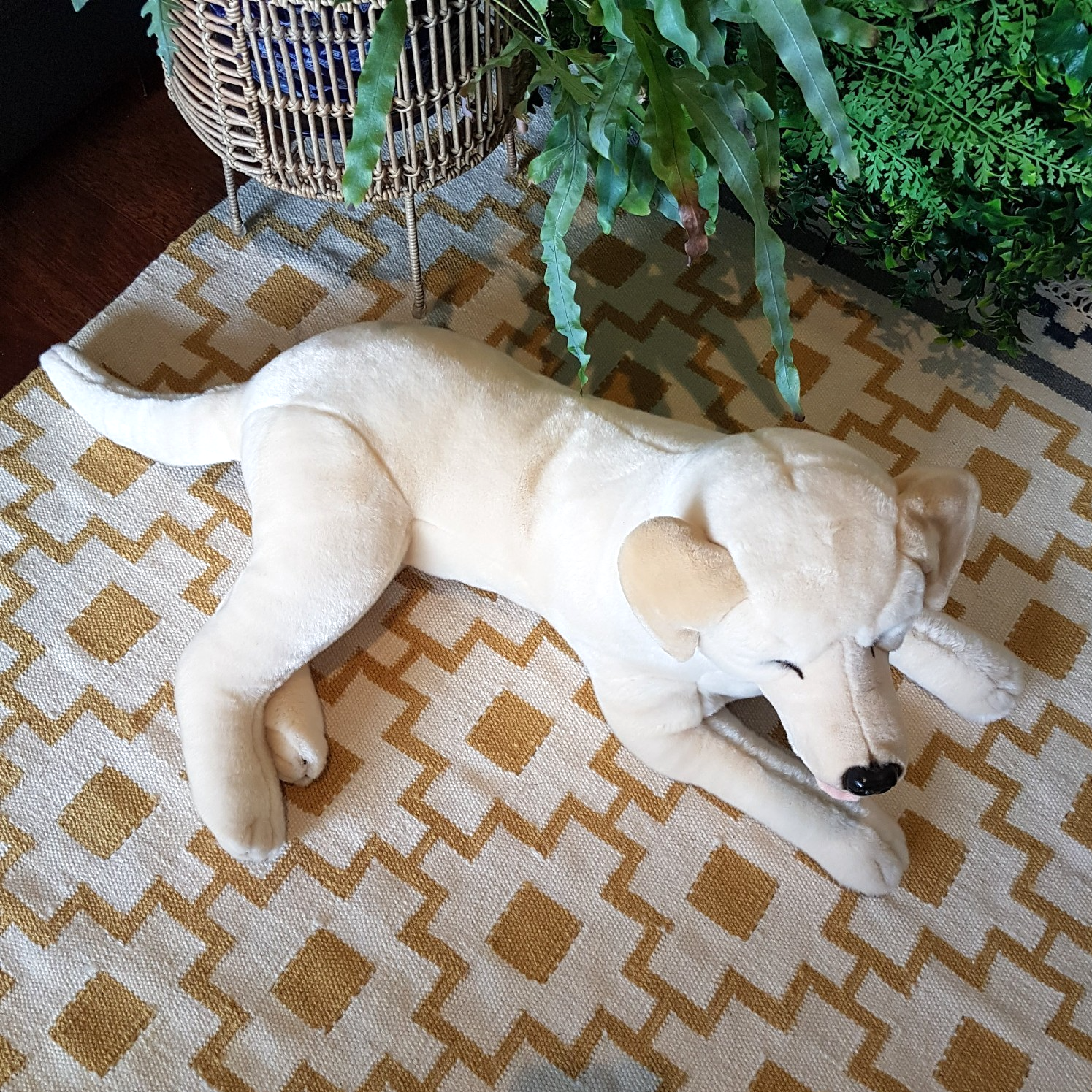 Bocchetta REALISTIC YELLOW LABRADOR DOG Jumbo Large 60cm Soft Toy Stuffed Animal4