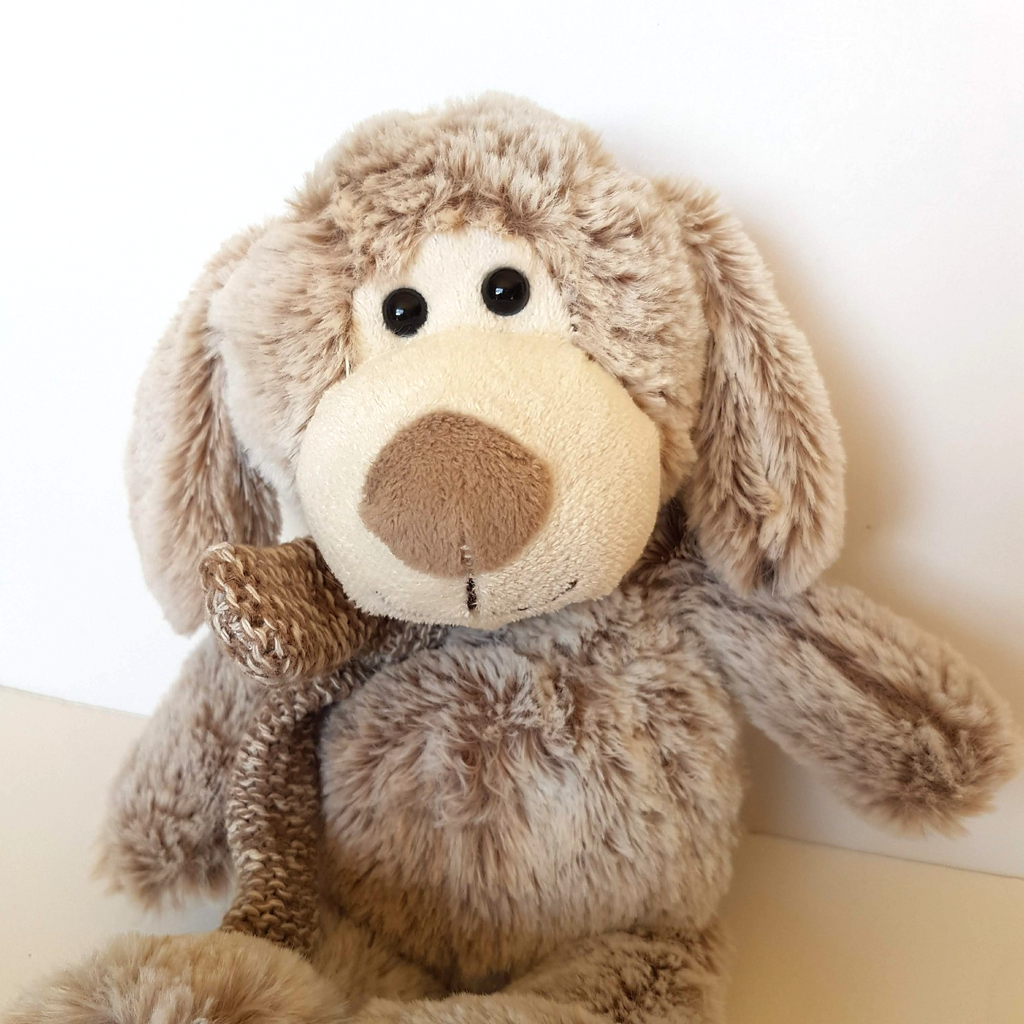 Floppy QUALITY TEDDY Plush Dog 27cm Frosted Beige White Stuffed Animal Soft Toy1