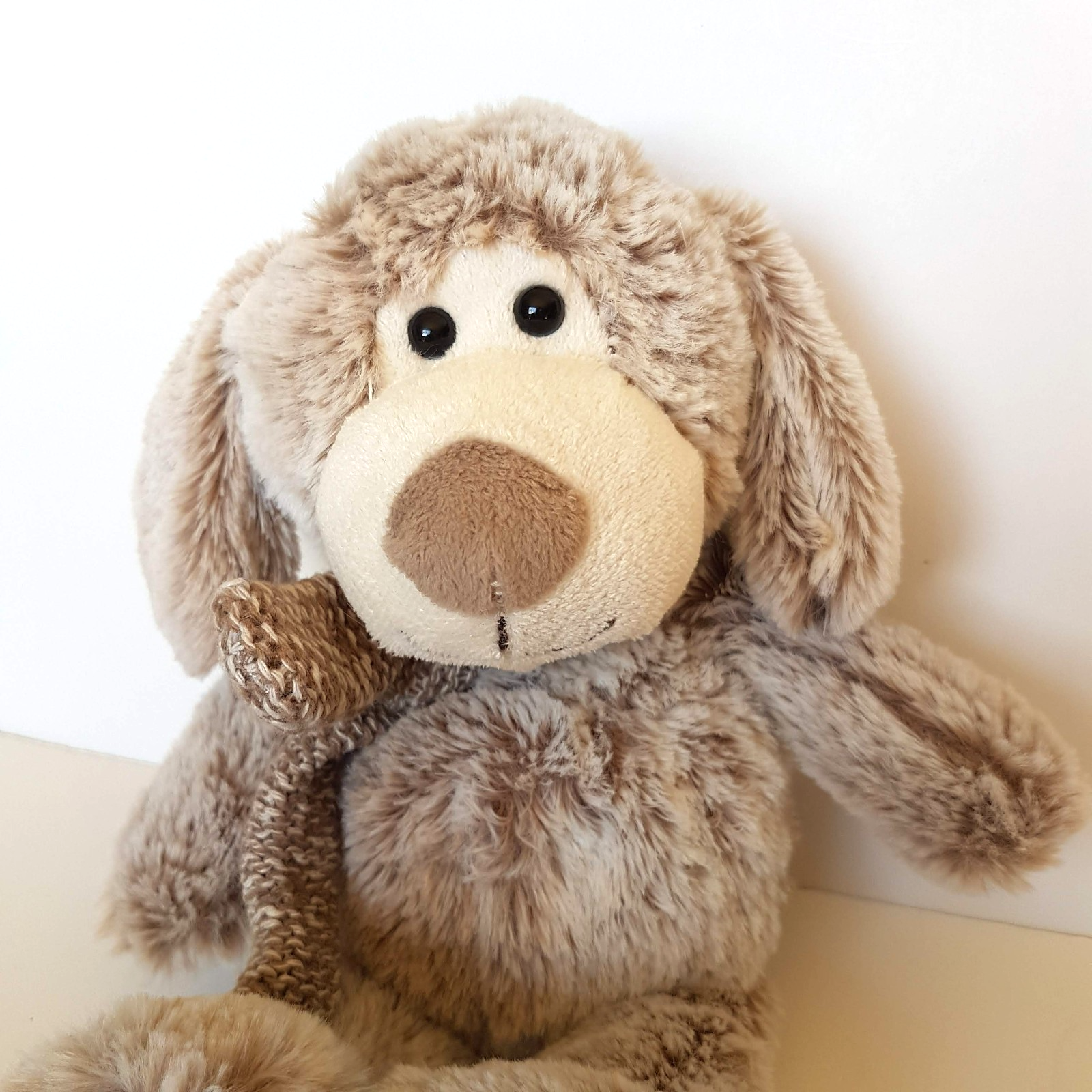 Floppy QUALITY TEDDY Plush Dog 27cm Frosted Beige White Stuffed Animal Soft Toy1