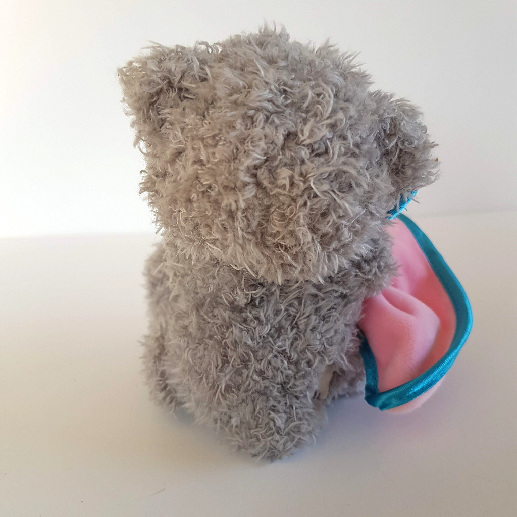 Tatty Teddy A HUG FROM ME TO YOU Plush 13cm Soft Toy Stuffed Animal Pink Blanket4