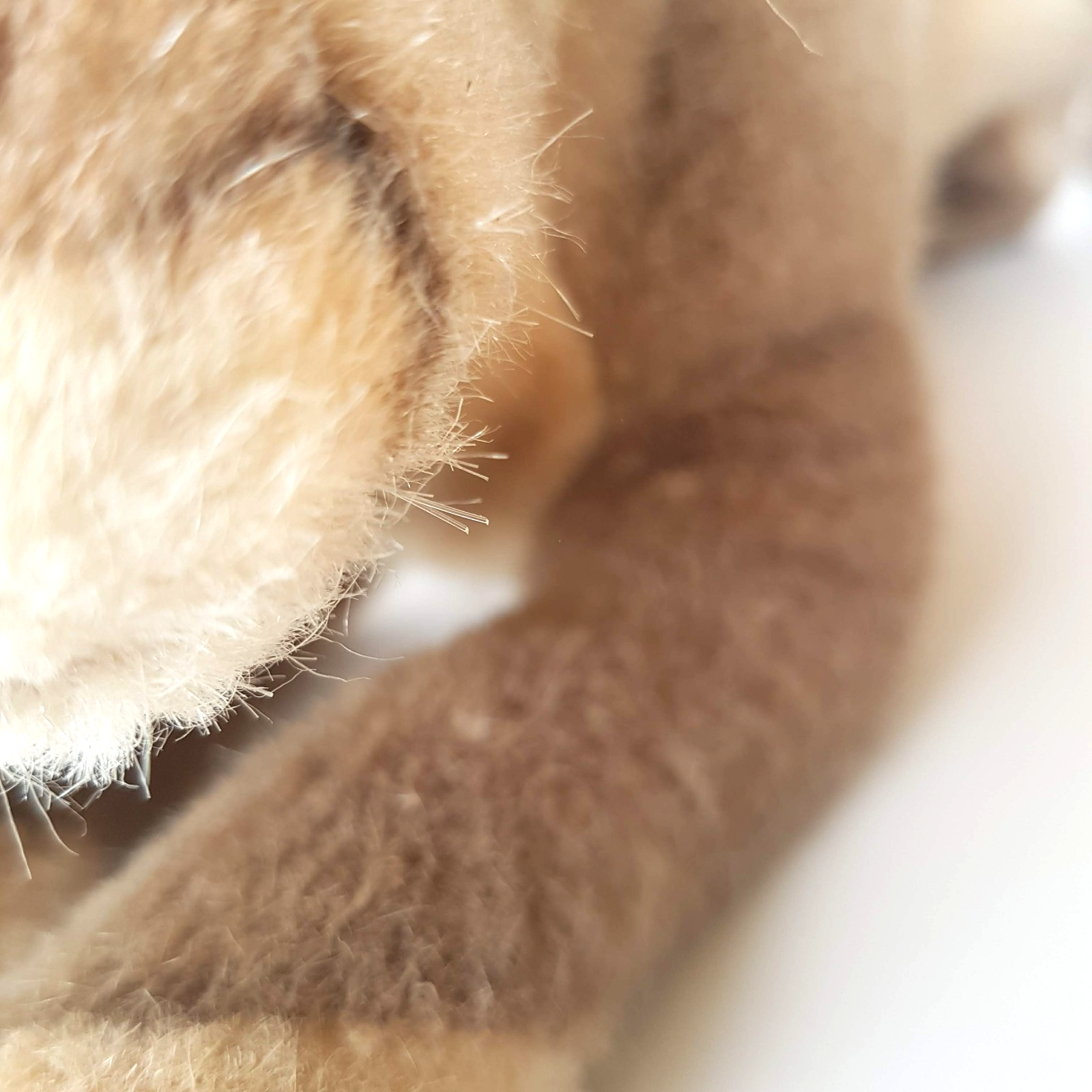 Hansa PUMA MOUNTAIN LION COUGAR Wild Cat Stuffed Animal Melbourne Zoo Soft Toy12