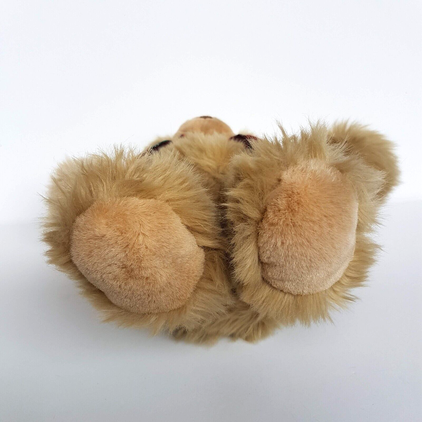 Tomfoolery TEDDY BEAR Plush 29cm Soft Toy Stuffed Animal Pet Tartan Bow Cuddly12