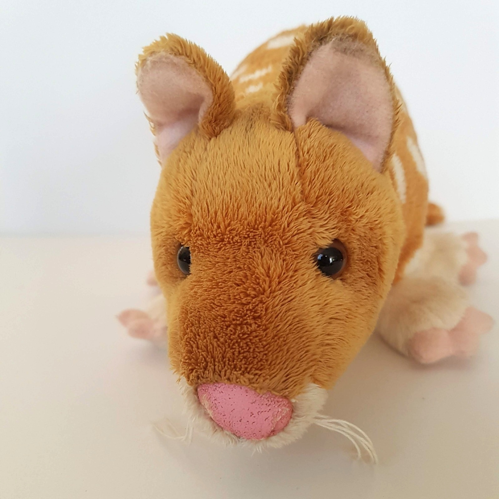 Rare Corroboree EASTERN QUOLL Plush 45cm long Soft Toy Stuffed Animal Cute3