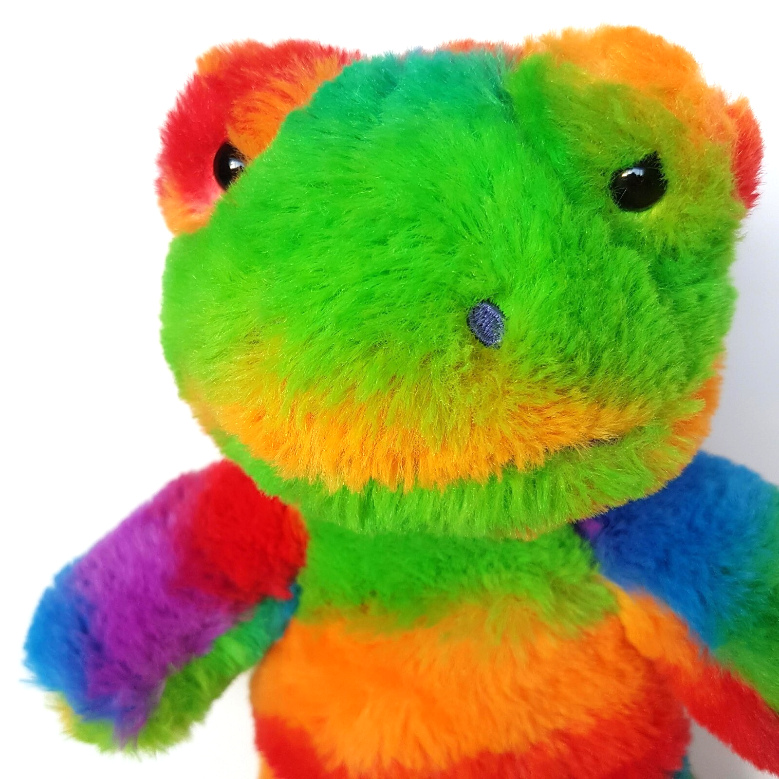 Build A Bear RAINBOW FROG 24cm Small Frys BUDDIES Plush Stuffed Animal Soft Toy1
