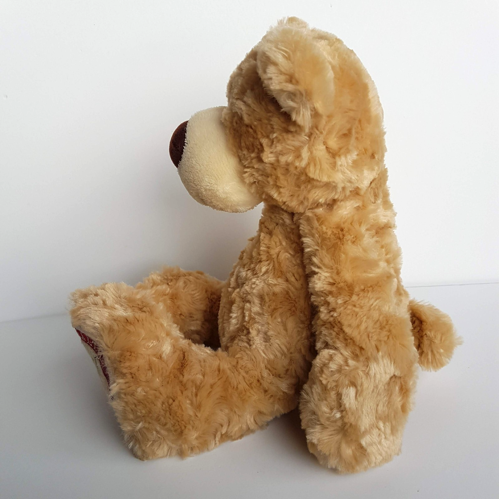 Tomfoolery BENDIGO HEALTH FOUNDATION Teddy Bear Plush Stuffed Animal Soft Toy11