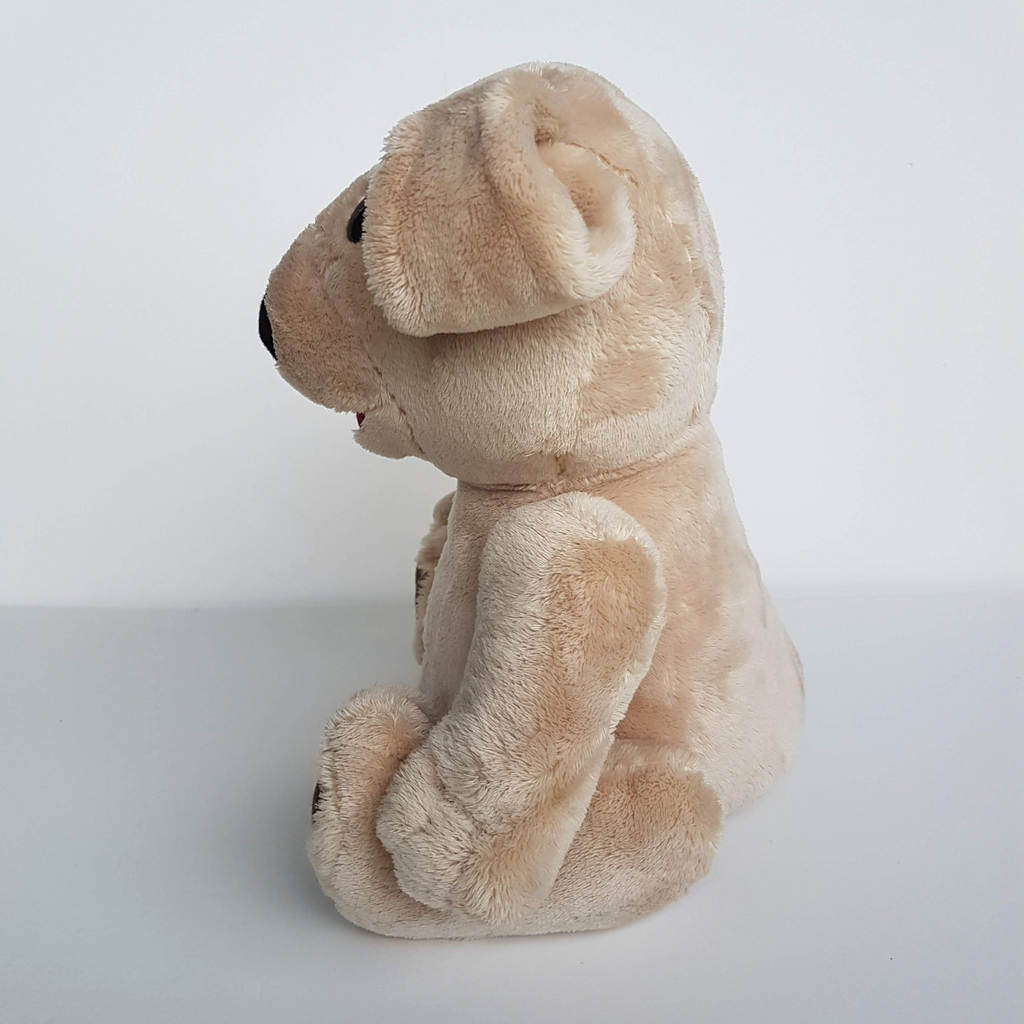 TED E BARE David Strassman Teddy Bear Plush 26cm Soft Toy Stuffed Animal FLAT5
