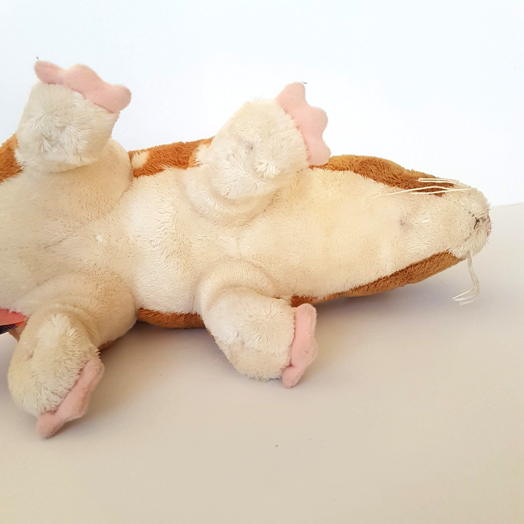 Rare Corroboree EASTERN QUOLL Plush 45cm long Soft Toy Stuffed Animal Cute5