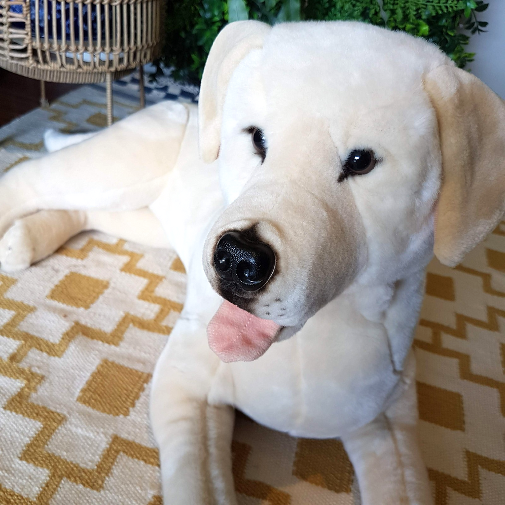 Bocchetta REALISTIC YELLOW LABRADOR DOG Jumbo Large 60cm Soft Toy Stuffed Animal7