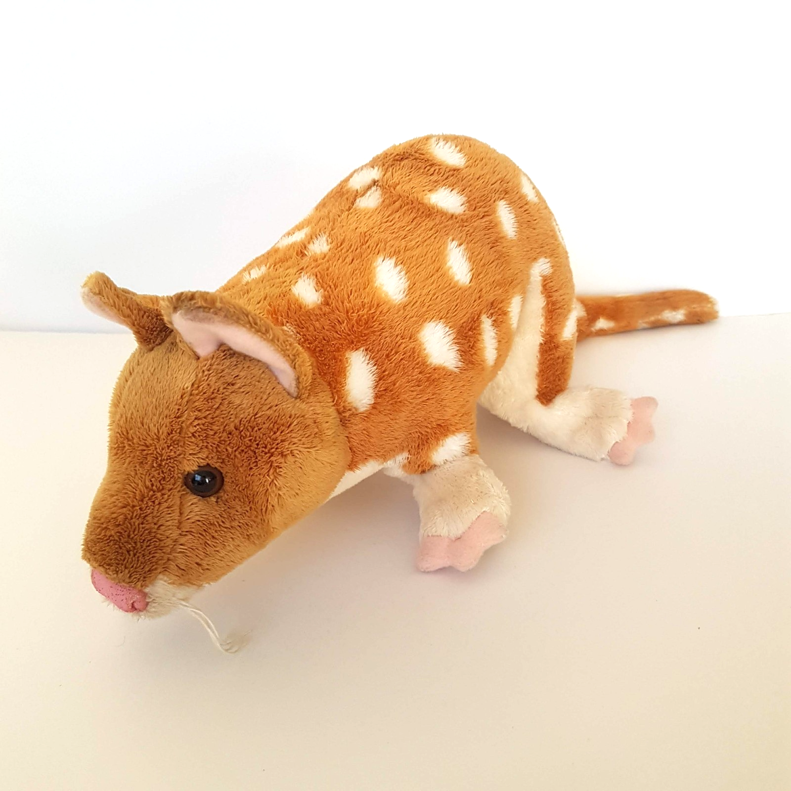 Rare Corroboree EASTERN QUOLL Plush 45cm long Soft Toy Stuffed Animal Cute1