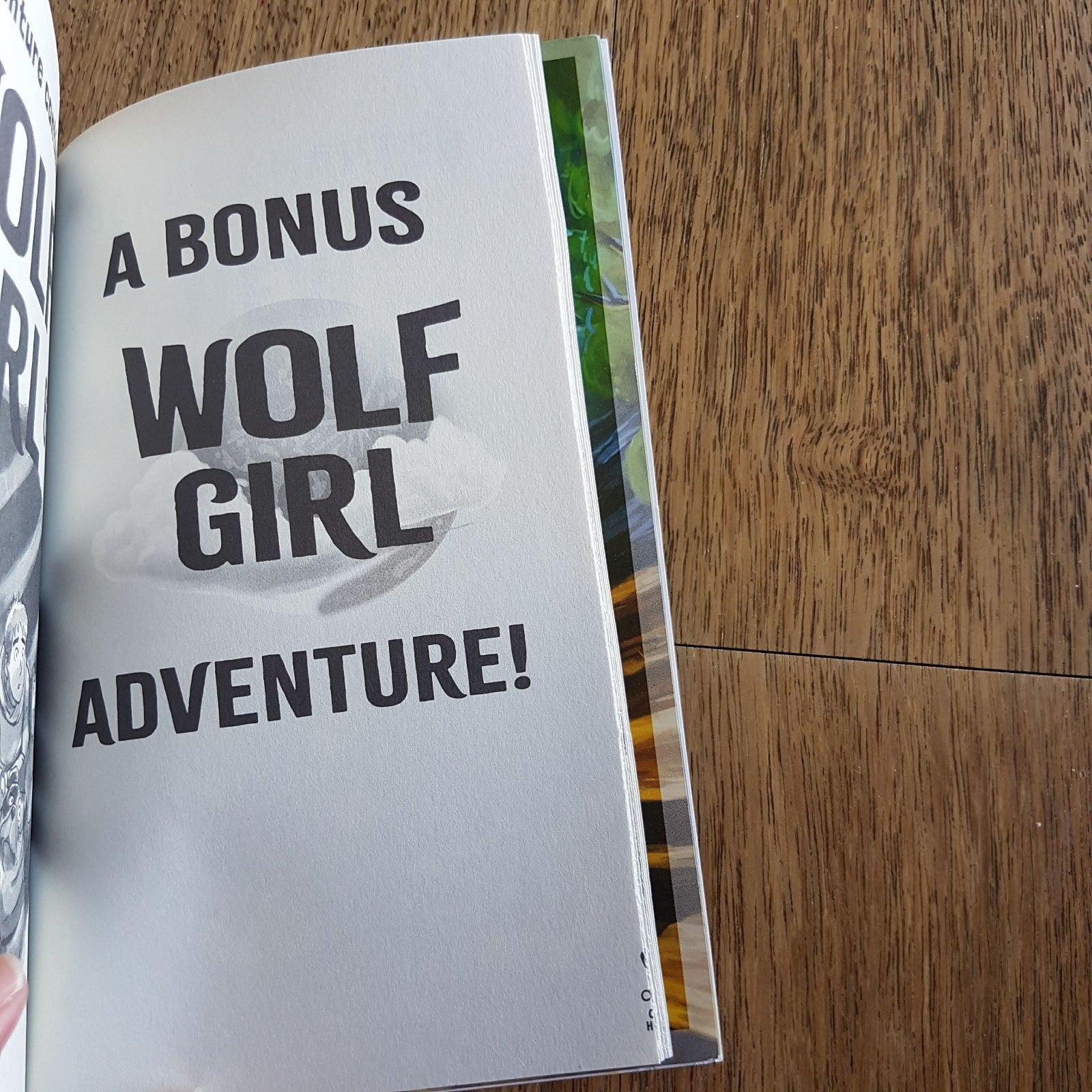 Anh Do WOLF GIRL 1 8 Fantasy Book Bundle Lot Kids Paperback Illustrated Novel20