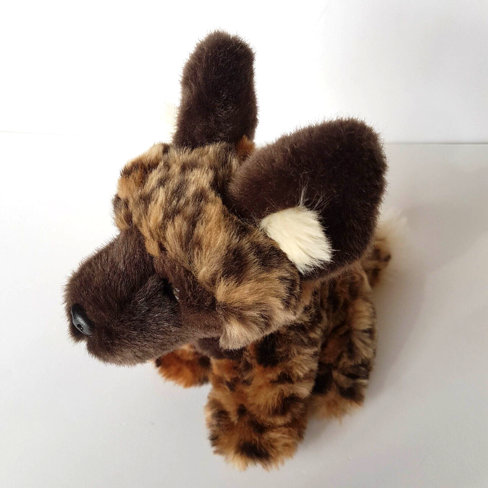 Korimco AFRICAN WILD DOG Plush Soft Toy 20cm Stuffed Animal Wild Safari Animal9