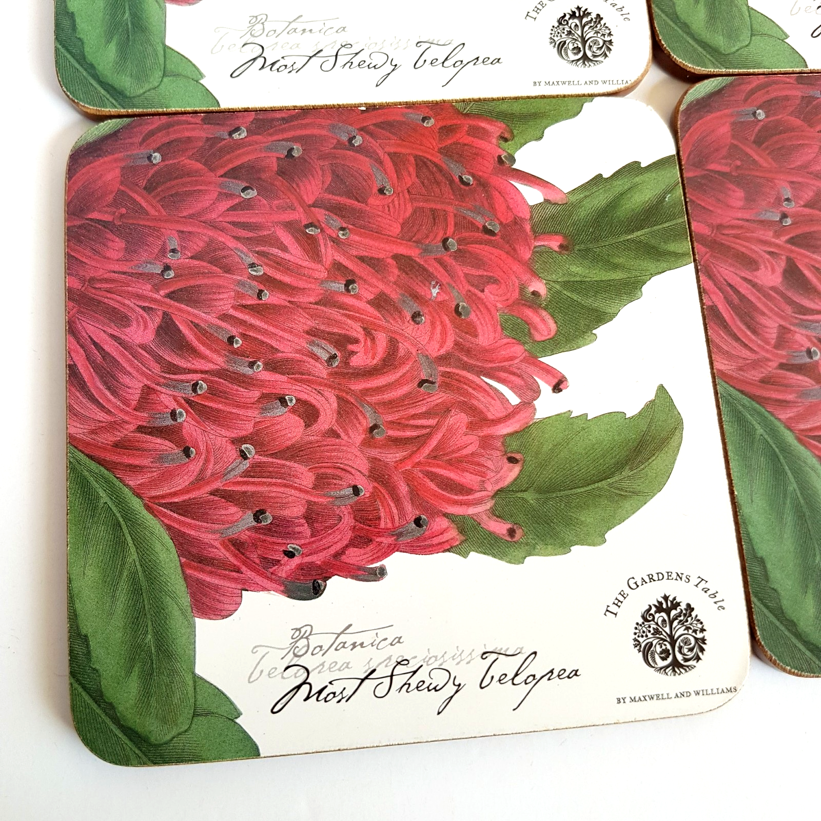 THE GARDENS TABLE Waratah Coaster Set Botanical Flower Royal Botanic Gardens1