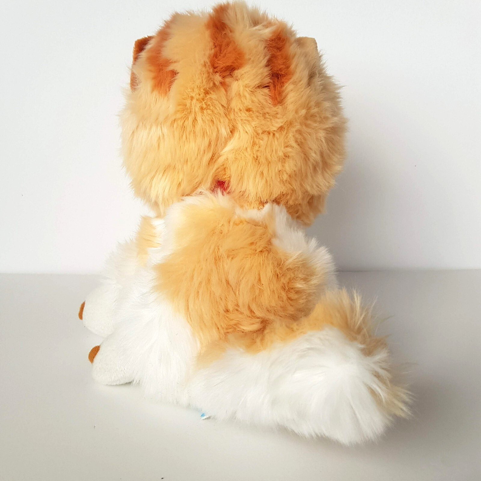 Pawphans RAGDOLL CAT GINGER KITTEN 25cm Plush 2005 Toy Stuffed Animal Pet RSPCA5