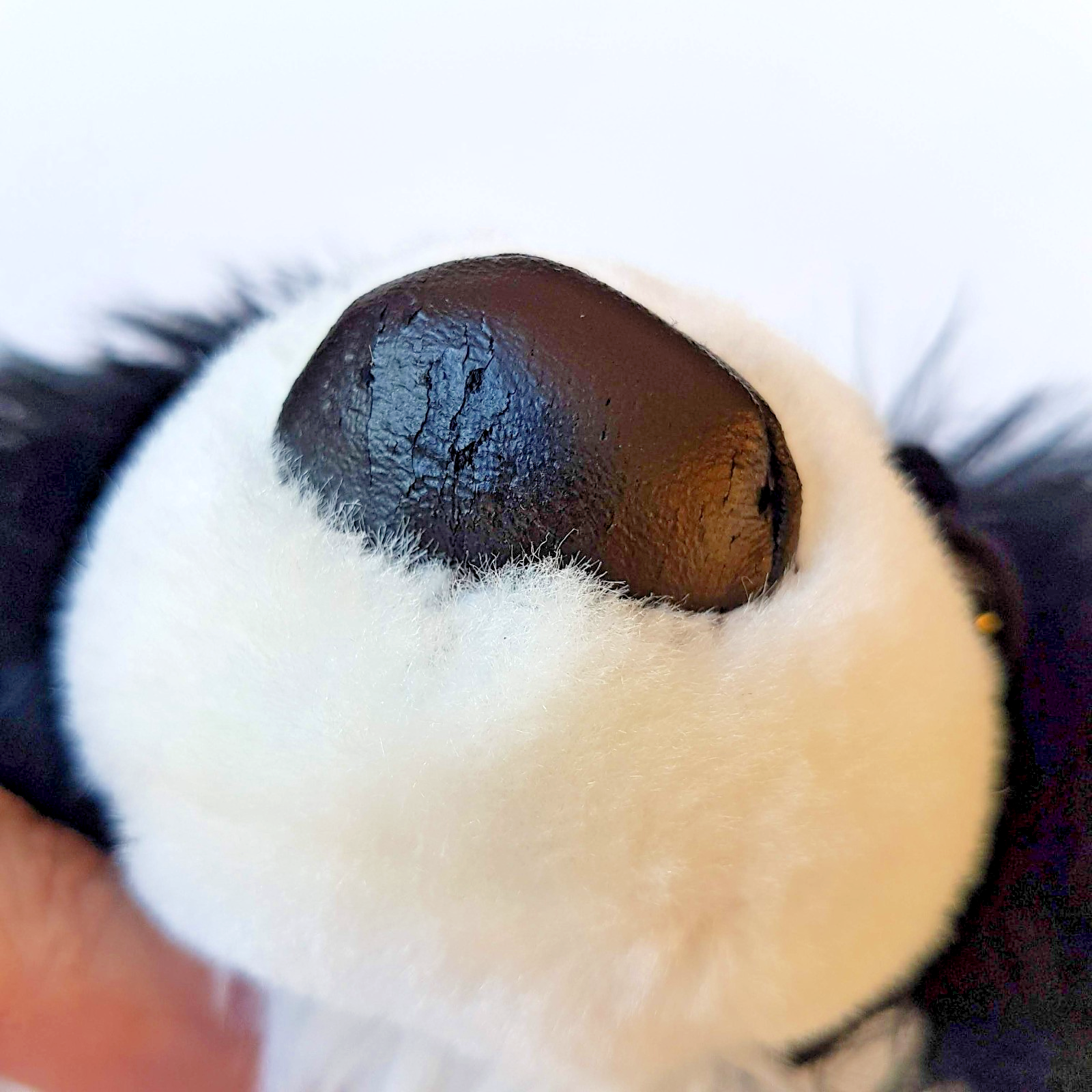 ARTLIST The Dog JAPANESE CHIN Puppy Plush Soft Toy Pet Stuffed Animal Retired4