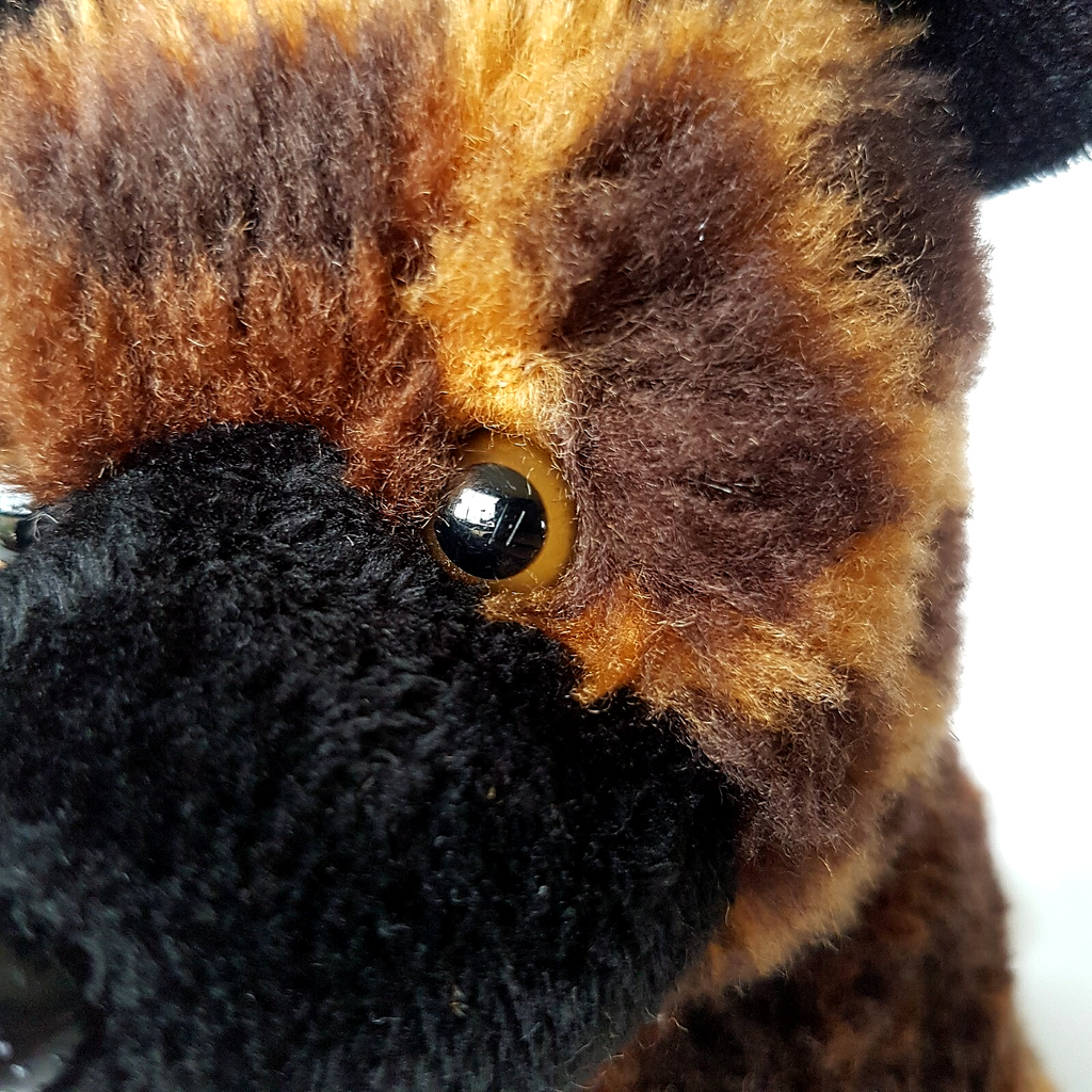 AFRICAN WILD DOG Plush PAINTED WOLF Hyena  27cm Stuffed Animal Soft Toy Safari6