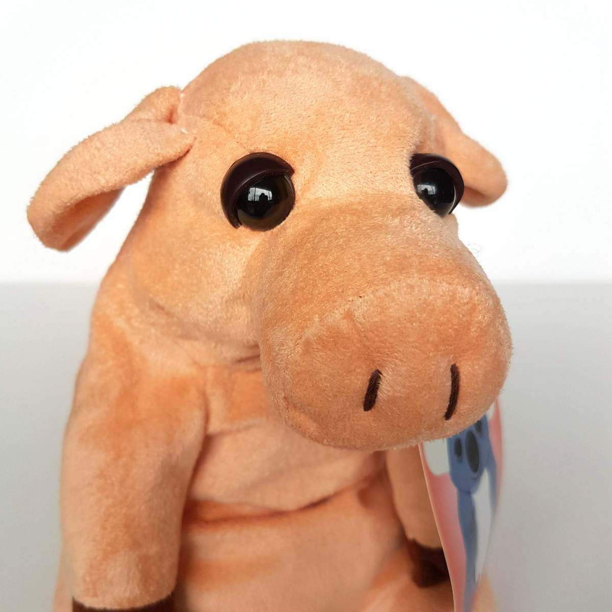 RARE CA Australia SLEEPY HEADS PIG Pigzi Plush 16cm Stuffed Animal Soft Toy6