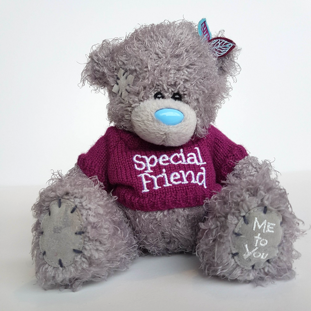 Tatty Teddy SPECIAL FRIEND Me To You 15cm Bear Plush Soft Toy Stuffed Animal3