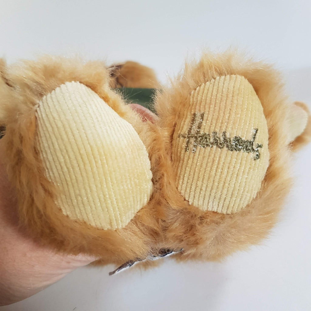Harrods TEDDY BEAR Green Sweater 25cm Plush Soft Toy Stuffed Toy Collectible8